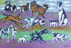 Dog Park